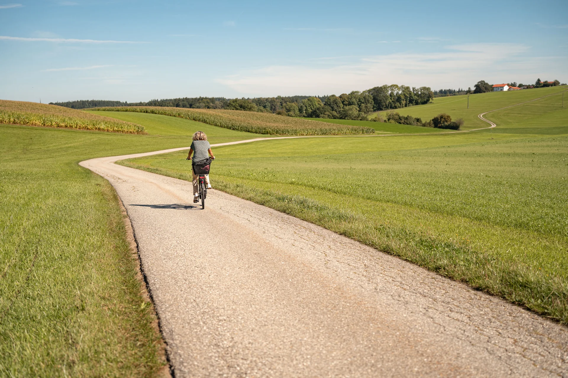 Velontour © Tourismusverein Inn-Salzach Frau radelt auf Landstraße durch grüne Felder unter blauem Himmel