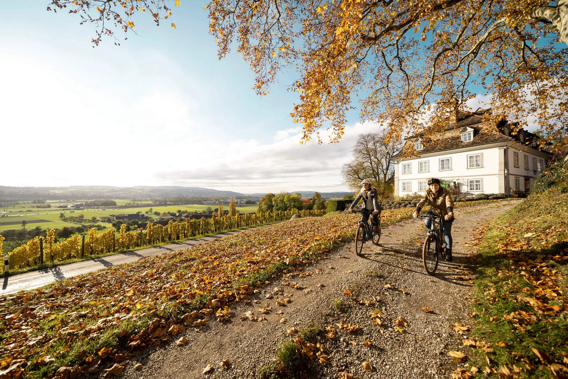Velontour © Switzerland Tourismu - Daniel Loosli Zwei Personen radeln im Herbst an einem Haus und bunten Weinbergen vorbei