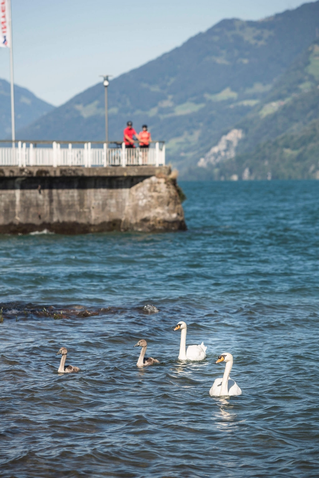 Pause der Radfahrer am Walensee © Velontour