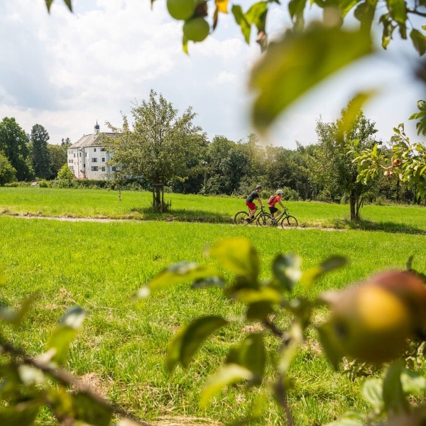 Genuss Radtour im Chiemsee Alpenvorland © Velontour