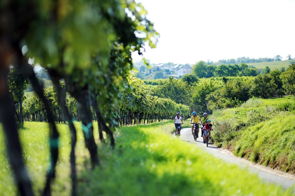 Weinbergradweg © Mostviertel Tourismus WeinFranz.at