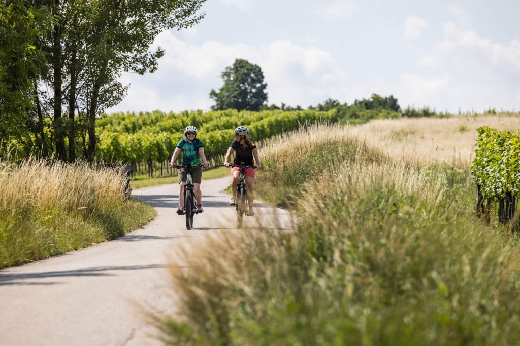 Genussradtour im Wienerwald © Velontour