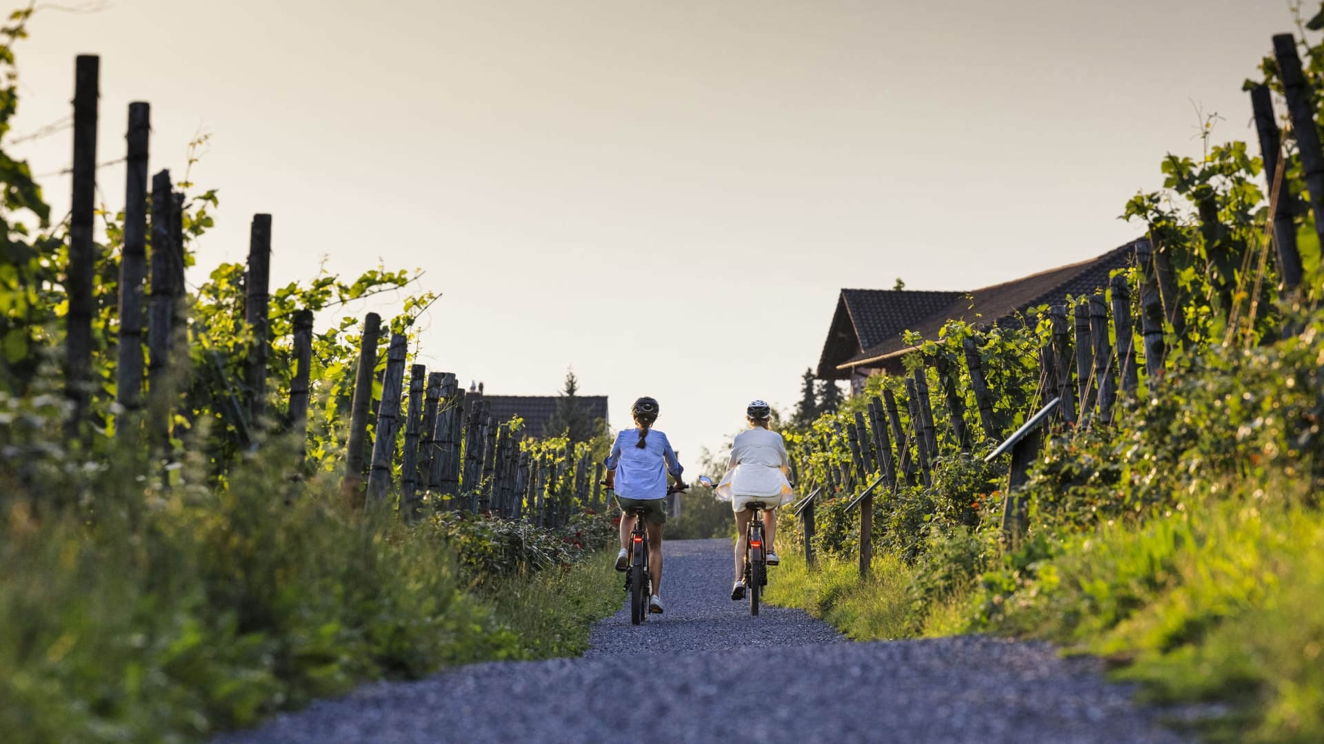 Radfahrer in Vaduz bei der Hofkellerei @ChristophSchöc