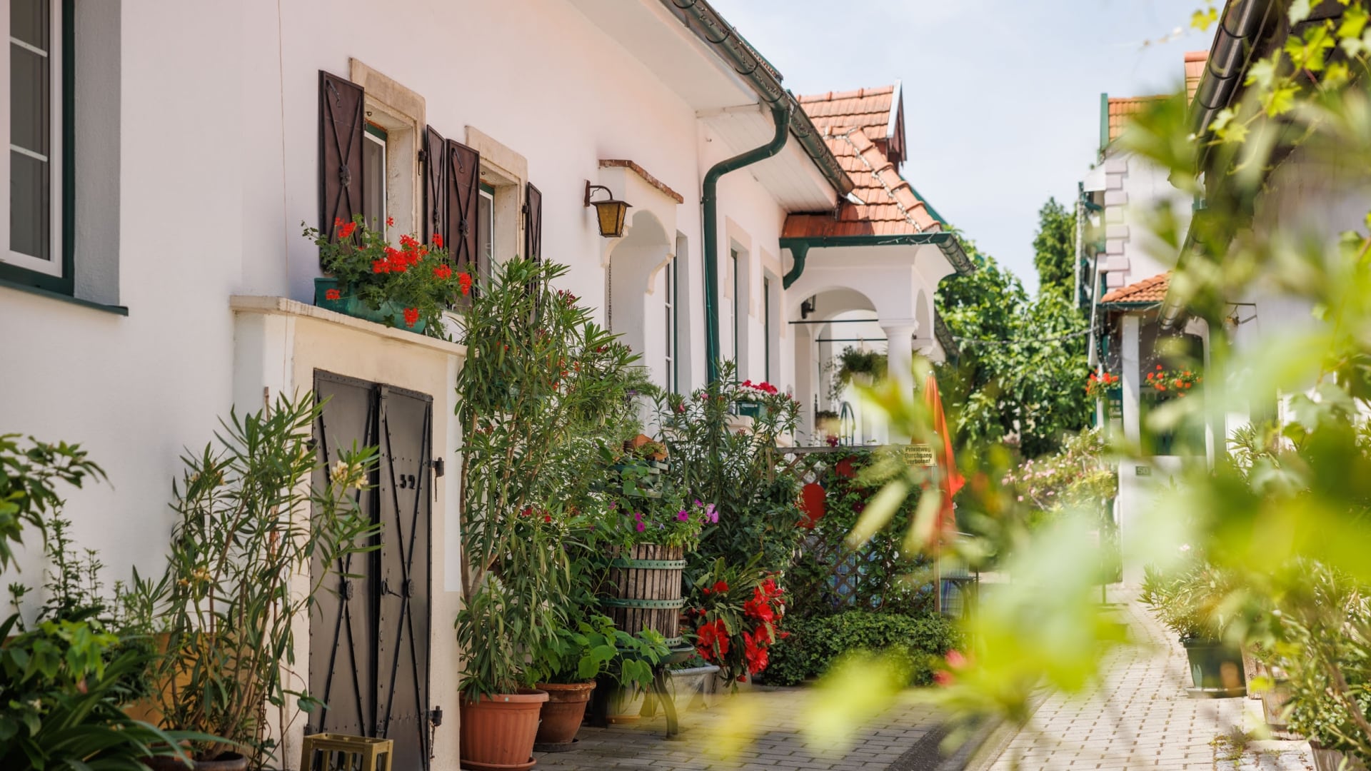 Burgenländischer Streckhof © TVB Nordburgenland - Maria Hollunder