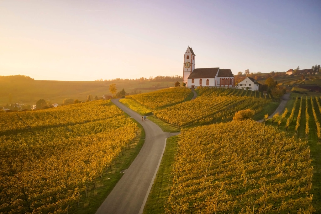 Klettgauer Wein-Route © Rheinwelten - Stefan Schlumpf