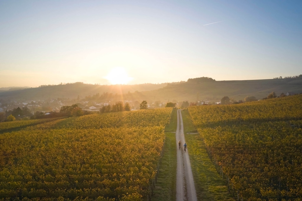 Klettgauer Wein-Route © Rheinwelten - Stefan Schlumpf