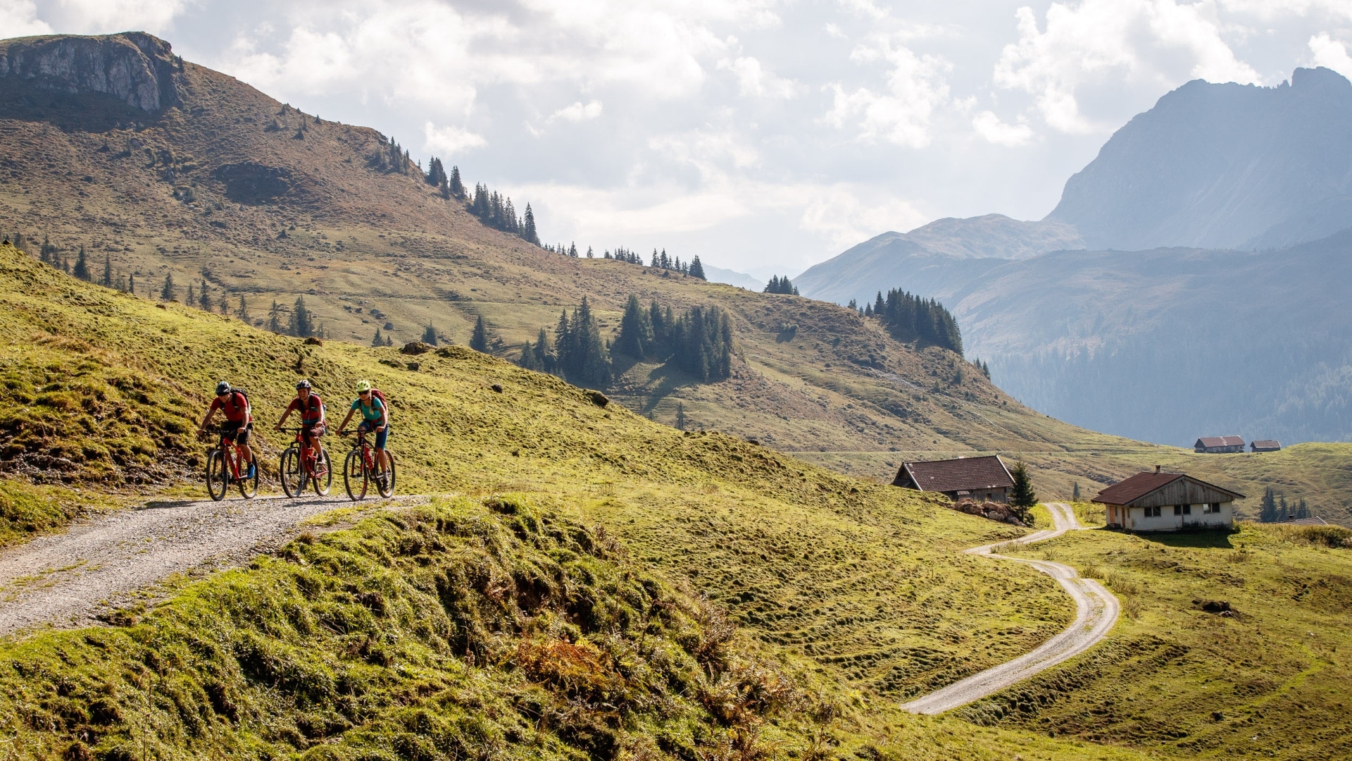 Radfahren Kitzbüheler Alpen - auf der Alm © Erwin Haiden