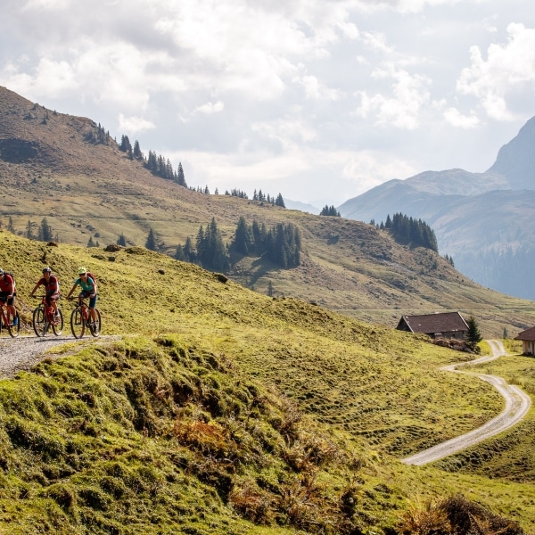 Radfahren Kitzbüheler Alpen - auf der Alm © Erwin Haiden