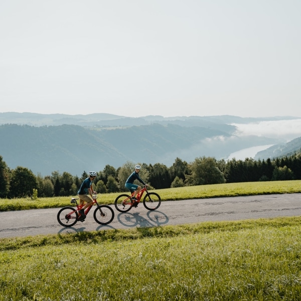 Radtour am Donauradweg - Thron Flenkental © WGD Donau Oberoesterreich Tourismus GmbH - CM Visuals