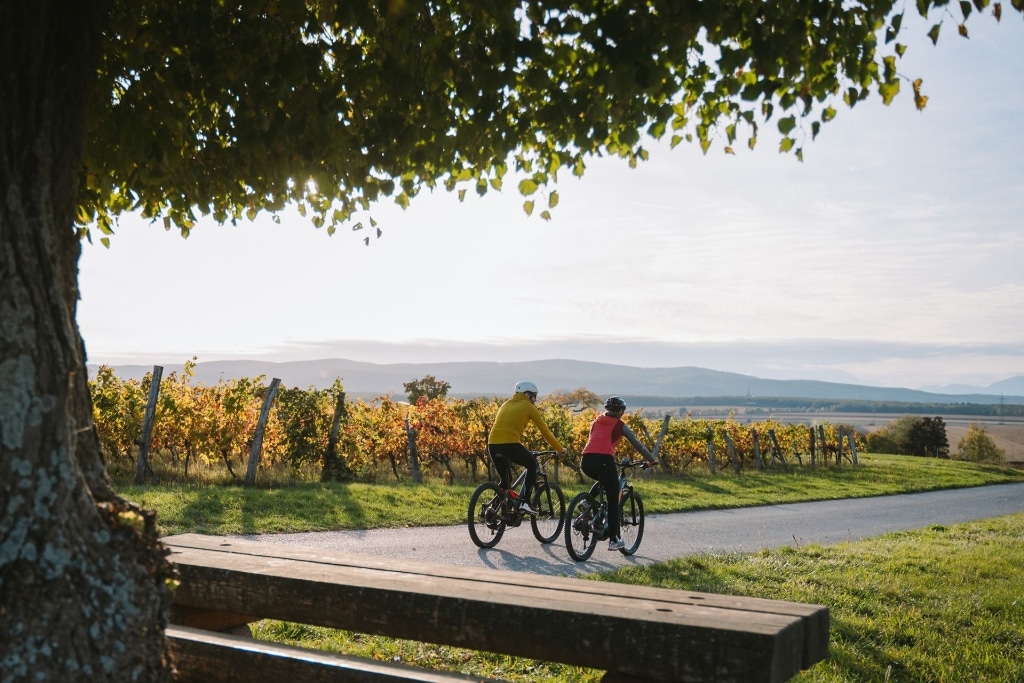 Herbstradeln im Burgenland © Burgenland Tourismus GmbH / Christina Neubauer