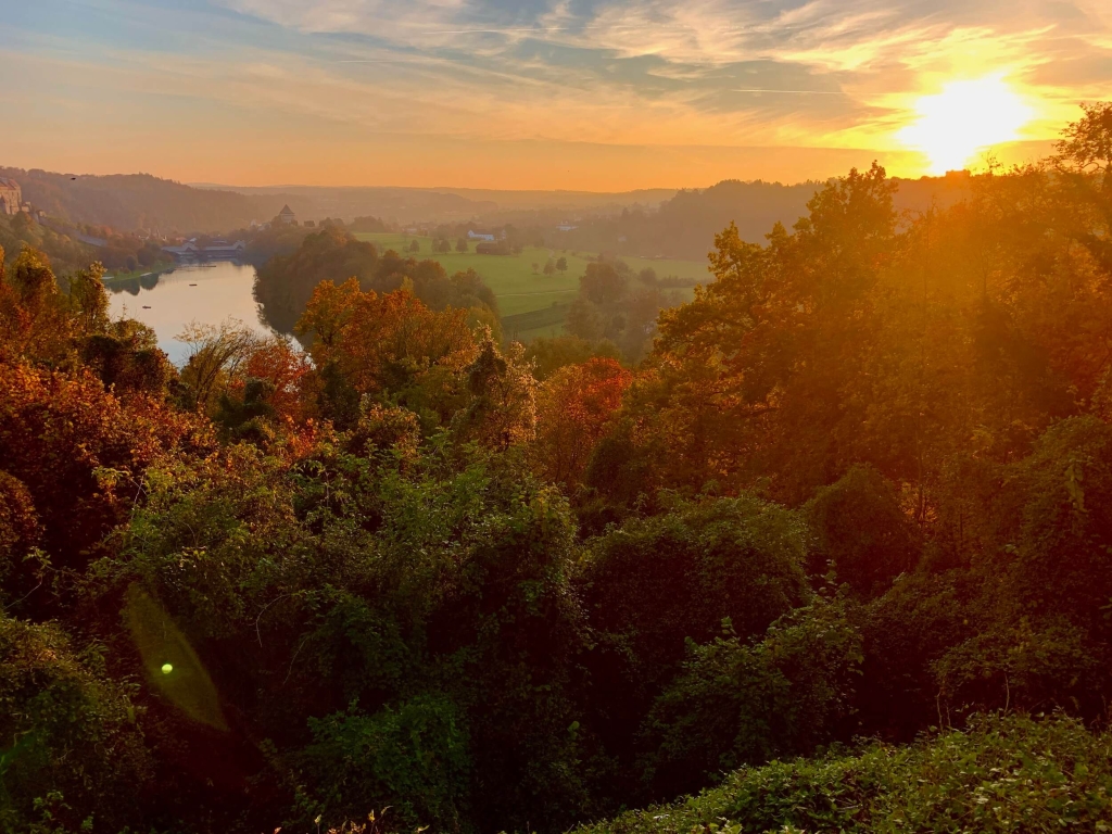 Wald im Herbst © Tourismusverein Inn-Salzach